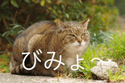 Park Cats 2 sticker #14232642