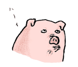 [Warm]Pig simmering sticker #14232685