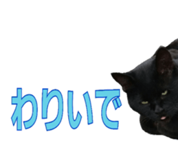 Oita Word sticker #14232887