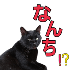 Oita Word sticker #14232889