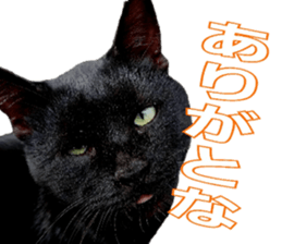 Oita Word sticker #14232893