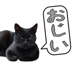Oita Word sticker #14232900
