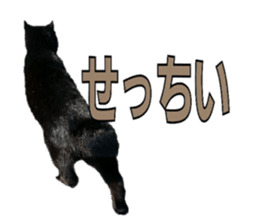 Oita Word sticker #14232901