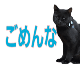 Oita Word sticker #14232906