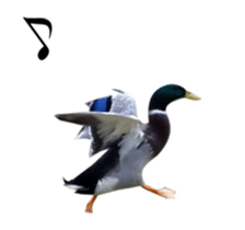 Real Bird 2 sticker #14233006