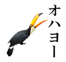 Real Bird 2 sticker #14233009