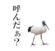 Real Bird 2 sticker #14233010