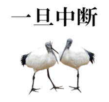 Real Bird 2 sticker #14233012