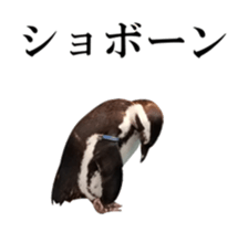 Real Bird 2 sticker #14233014
