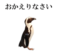 Real Bird 2 sticker #14233015