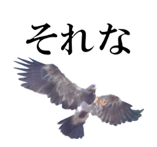 Real Bird 2 sticker #14233022