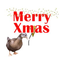 Real Bird 2 sticker #14233028