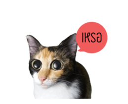 Sri None 2 sticker #14233222