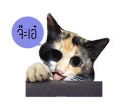 Sri None 2 sticker #14233224