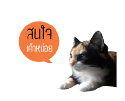 Sri None 2 sticker #14233226