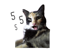 Sri None 2 sticker #14233228