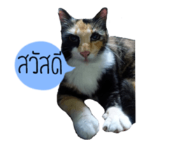 Sri None 2 sticker #14233229