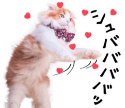 Qoo-chan2. sticker #14233622