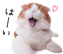 Qoo-chan2. sticker #14233623