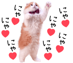 Qoo-chan2. sticker #14233624