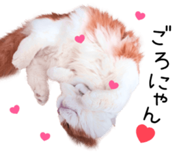 Qoo-chan2. sticker #14233628