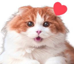 Qoo-chan2. sticker #14233629