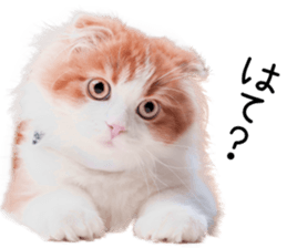 Qoo-chan2. sticker #14233630