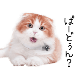 Qoo-chan2. sticker #14233631