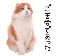 Qoo-chan2. sticker #14233633