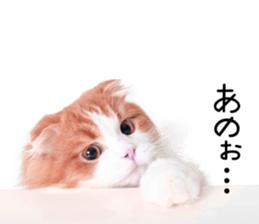 Qoo-chan2. sticker #14233634