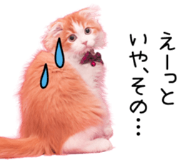 Qoo-chan2. sticker #14233635