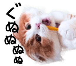 Qoo-chan2. sticker #14233636