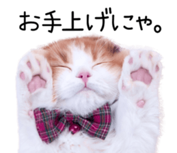 Qoo-chan2. sticker #14233637