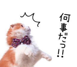 Qoo-chan2. sticker #14233638