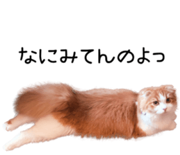 Qoo-chan2. sticker #14233640