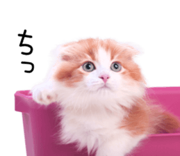 Qoo-chan2. sticker #14233641