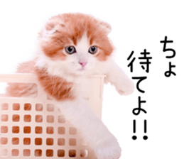 Qoo-chan2. sticker #14233642