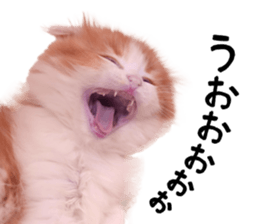 Qoo-chan2. sticker #14233644