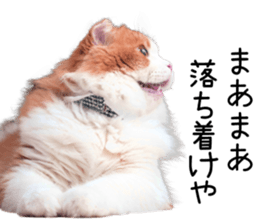 Qoo-chan2. sticker #14233646