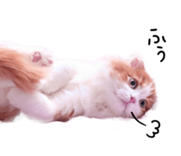 Qoo-chan2. sticker #14233647