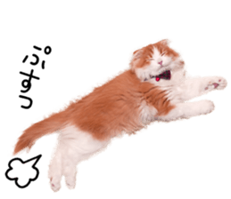 Qoo-chan2. sticker #14233648
