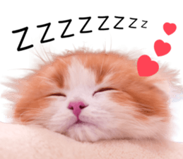 Qoo-chan2. sticker #14233649