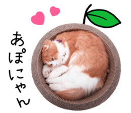 Qoo-chan2. sticker #14233650