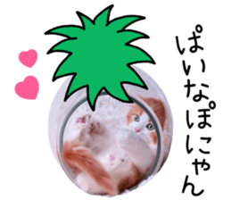 Qoo-chan2. sticker #14233651
