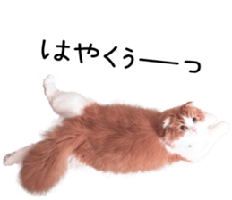 Qoo-chan2. sticker #14233652