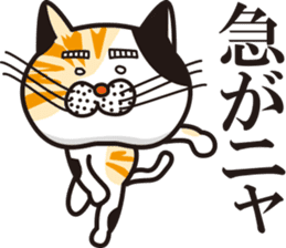 Matsuo' pet ~cat vol02~ sticker #14234818