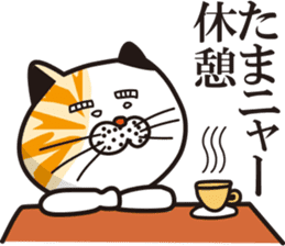Matsuo' pet ~cat vol02~ sticker #14234821