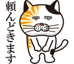 Matsuo' pet ~cat vol02~ sticker #14234836