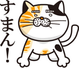 Matsuo' pet ~cat vol02~ sticker #14234837