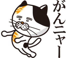 Matsuo' pet ~cat vol02~ sticker #14234845